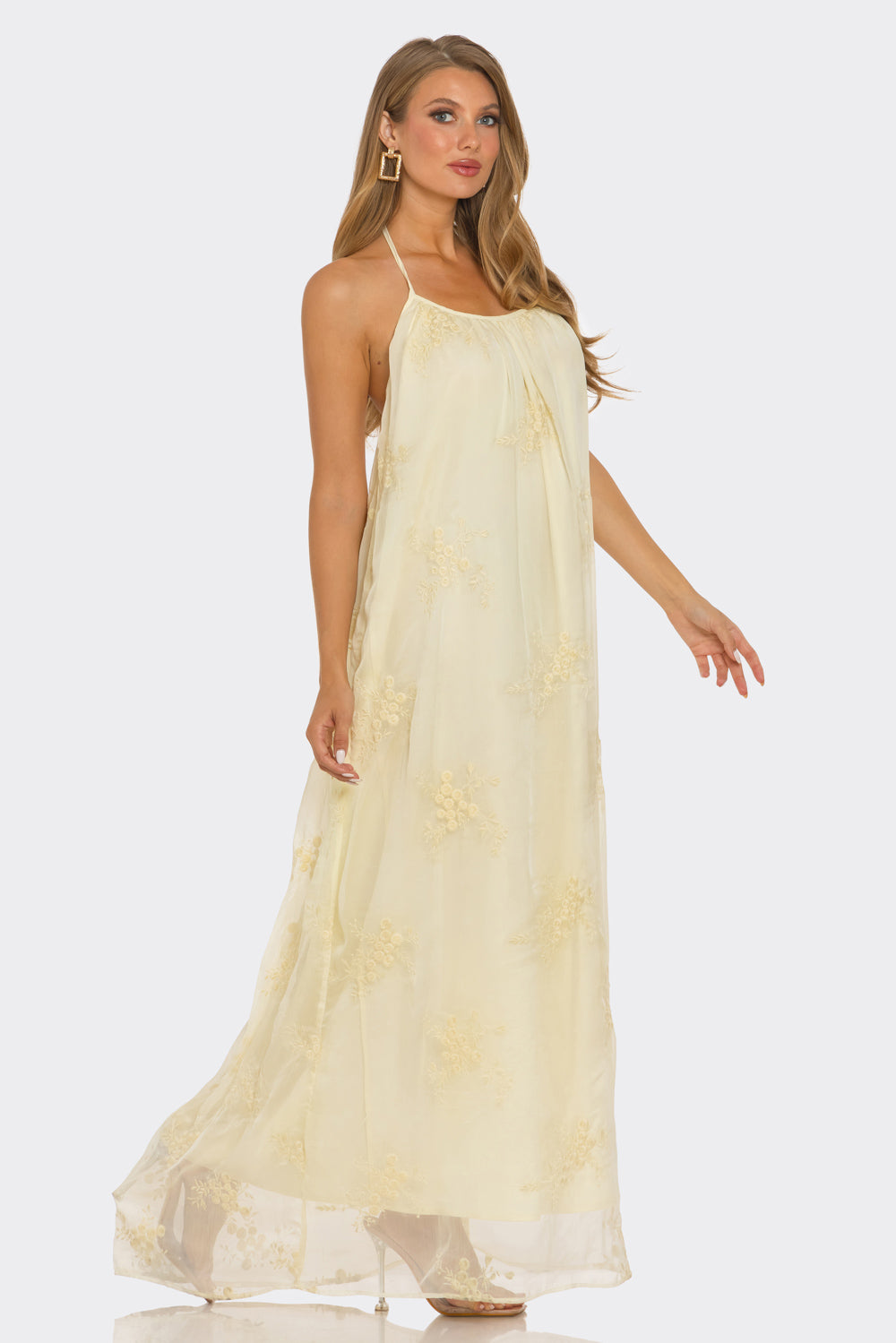 Eleanor Embroider Maxi Dress