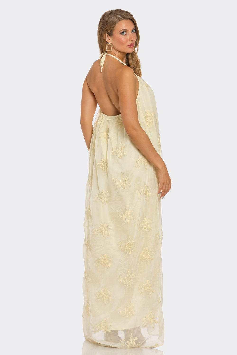 Eleanor Embroider Maxi Dress